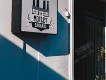 The Motley Bauhaus